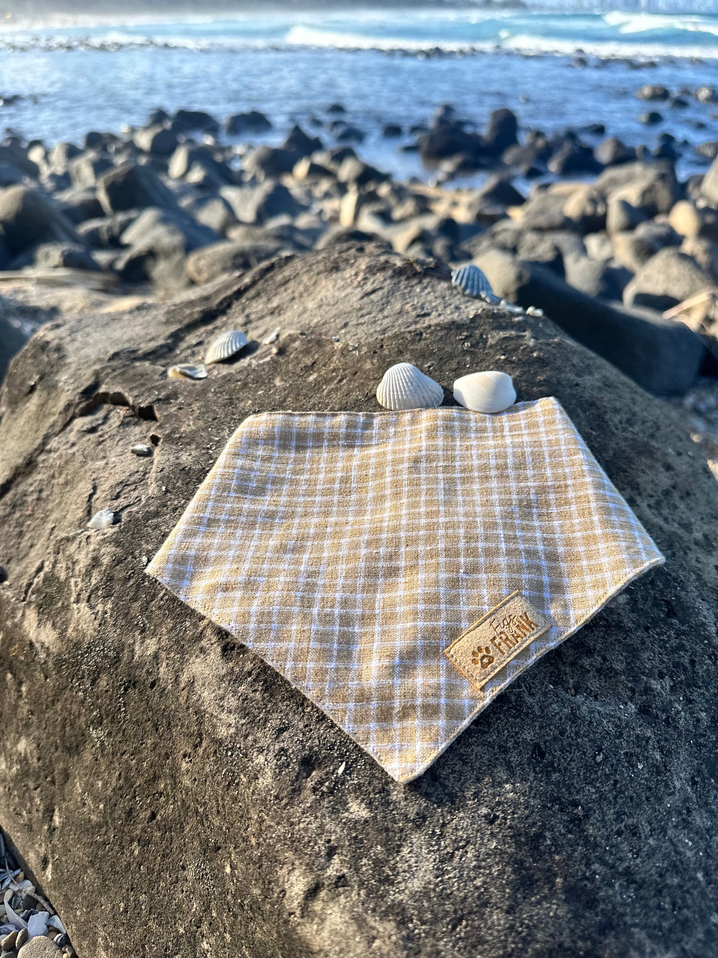 Sandy Dog Bandana