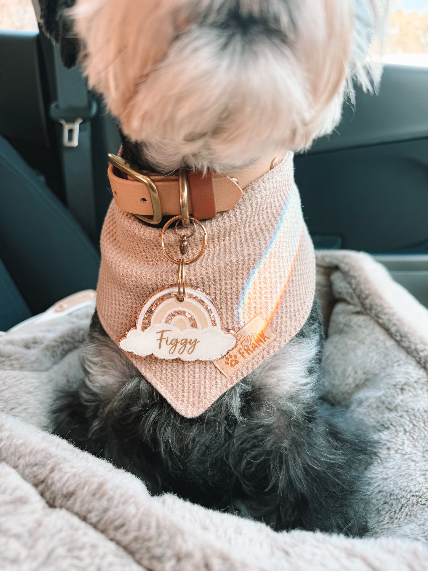 Biscuit Dog Bandana