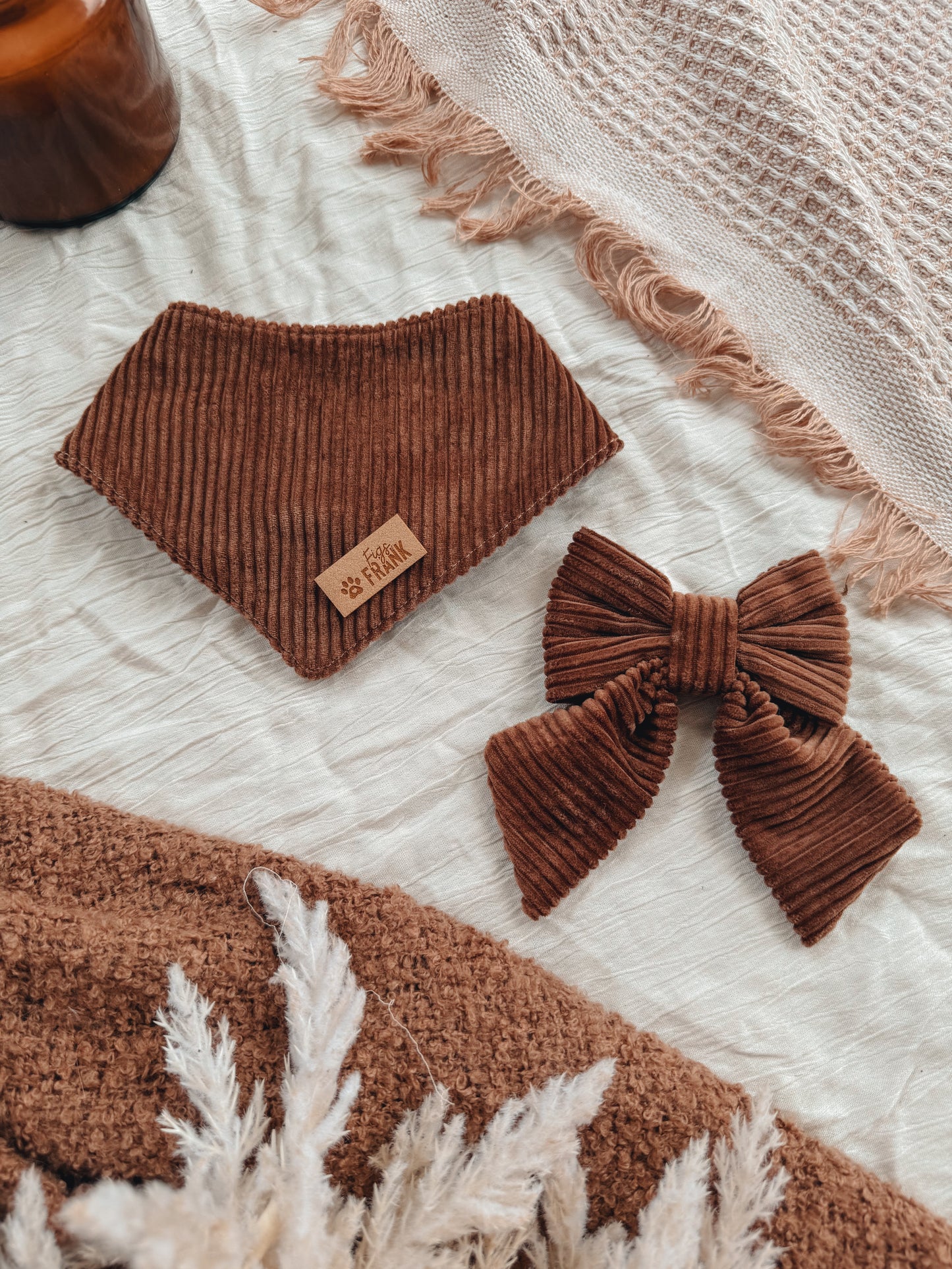 Cinnamon Dog Bow