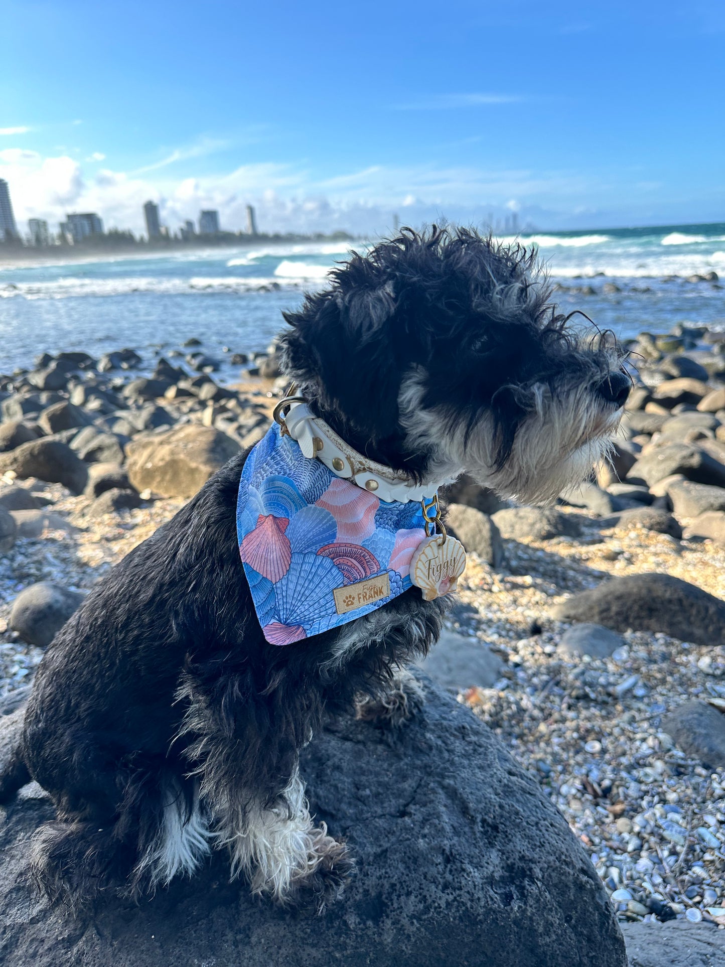 Beach Treasures Dog Bandana