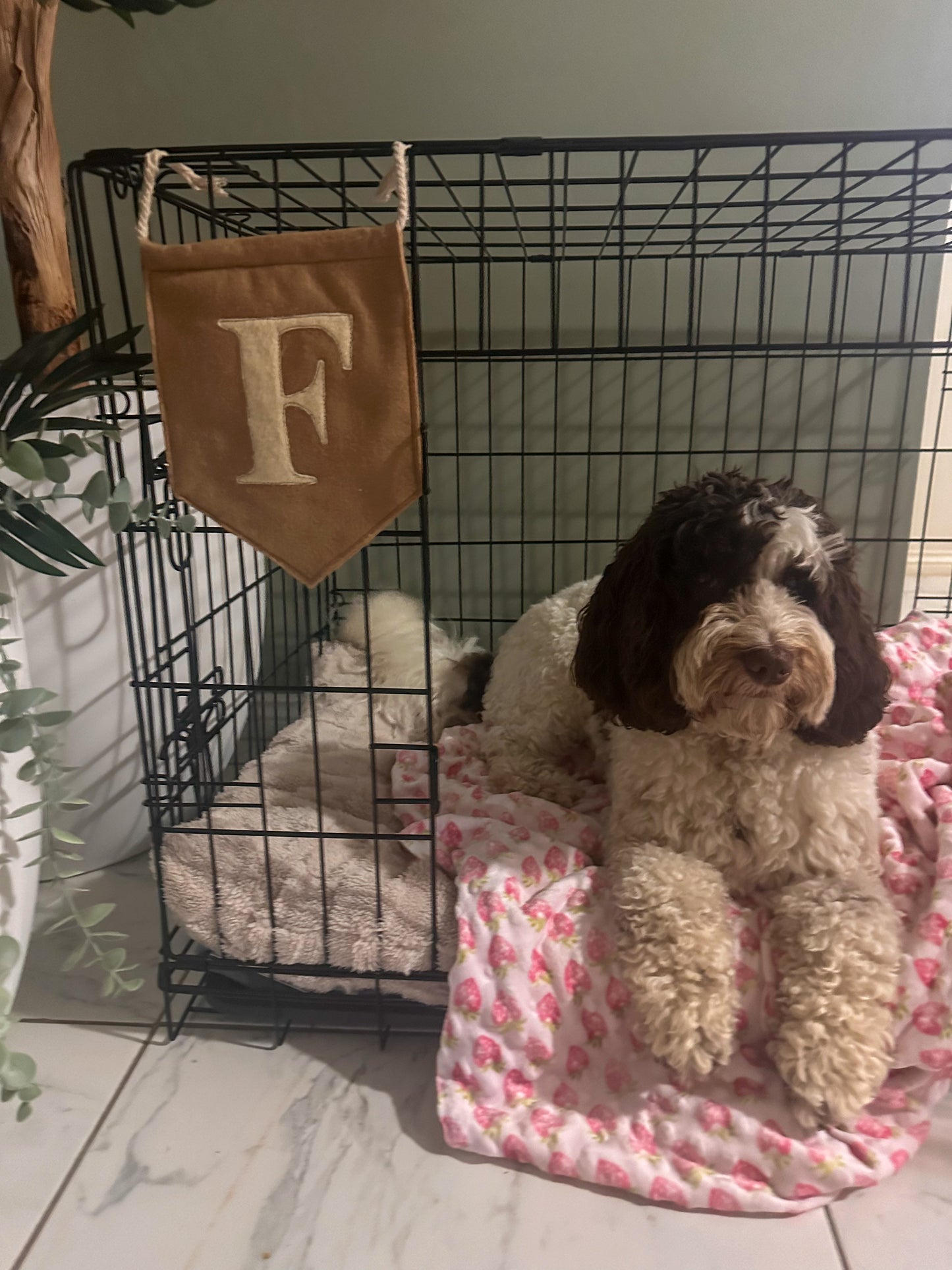 Initial Crate Flag
