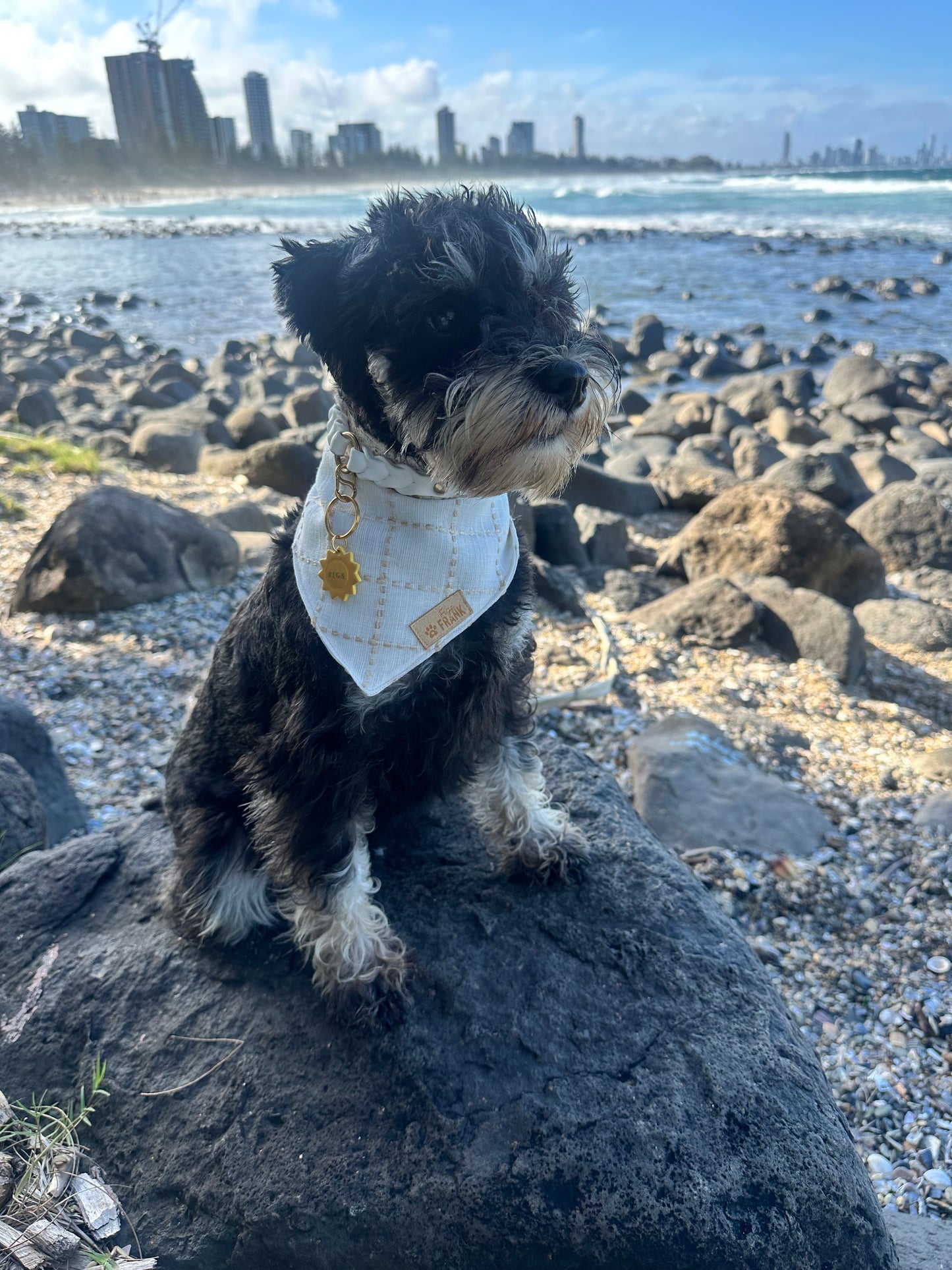 Seashells Dog Bandana