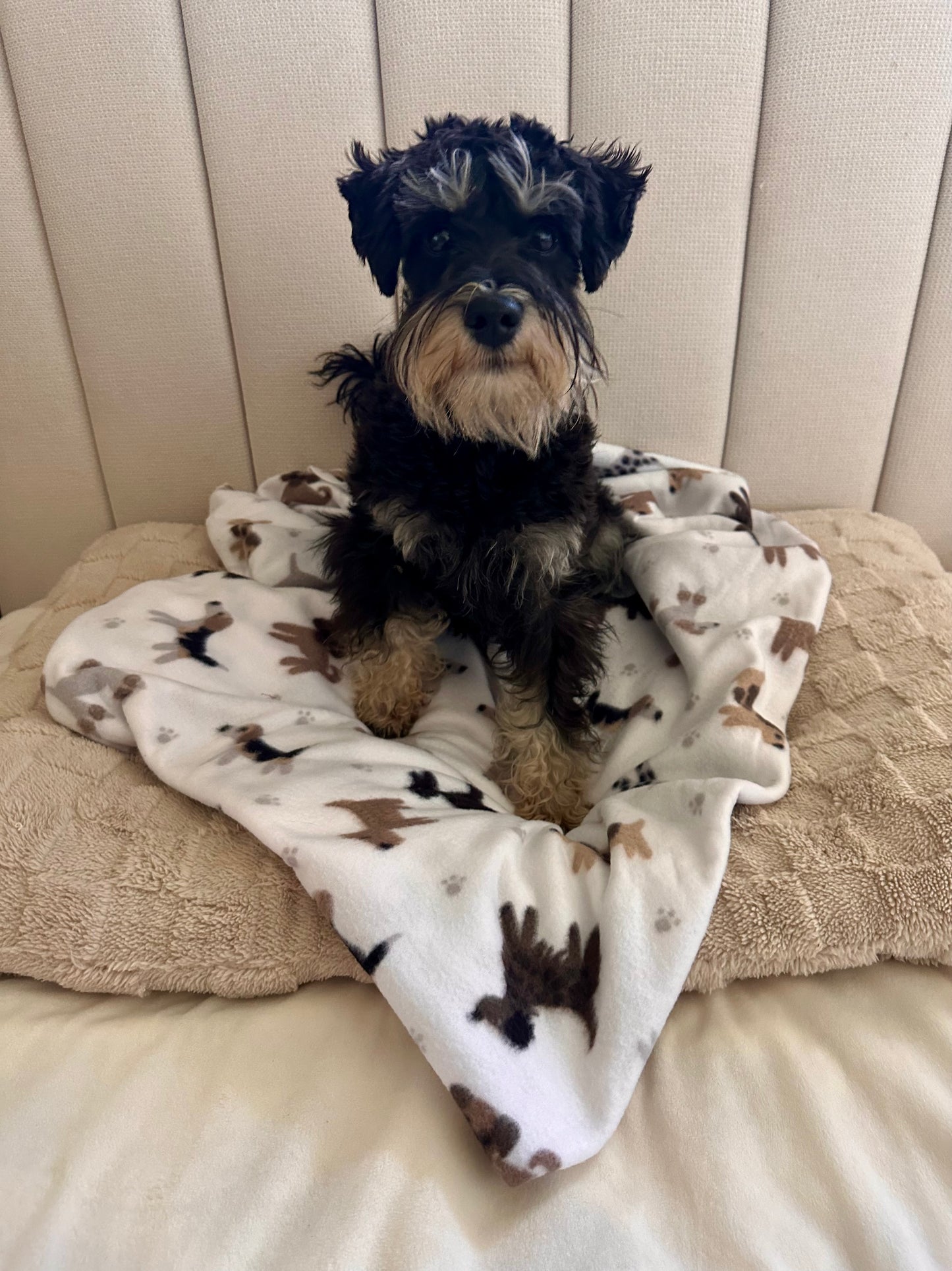 Norman Polar Fleece Pet Blanket