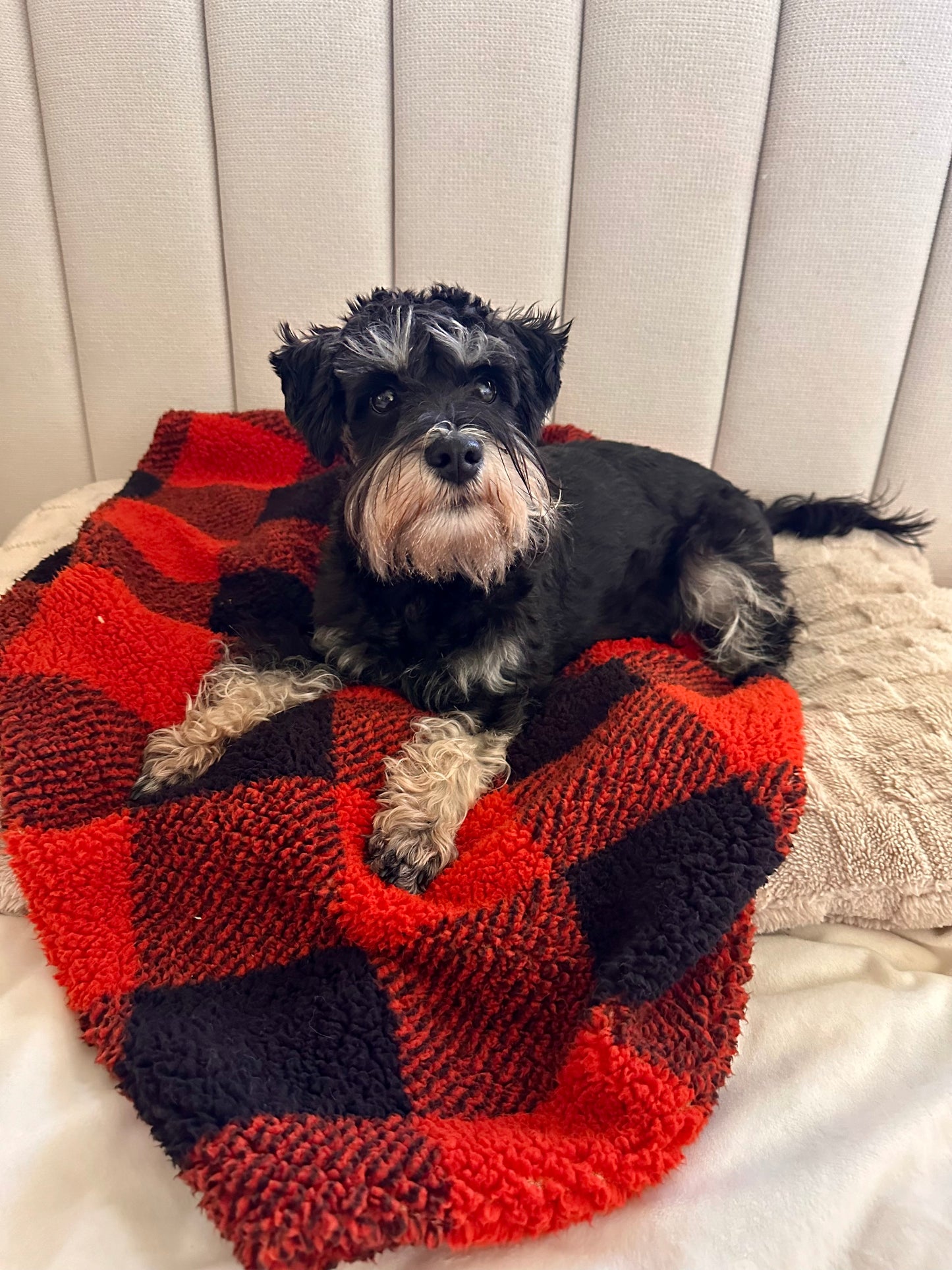 Arlo Sherpa Pet Blanket