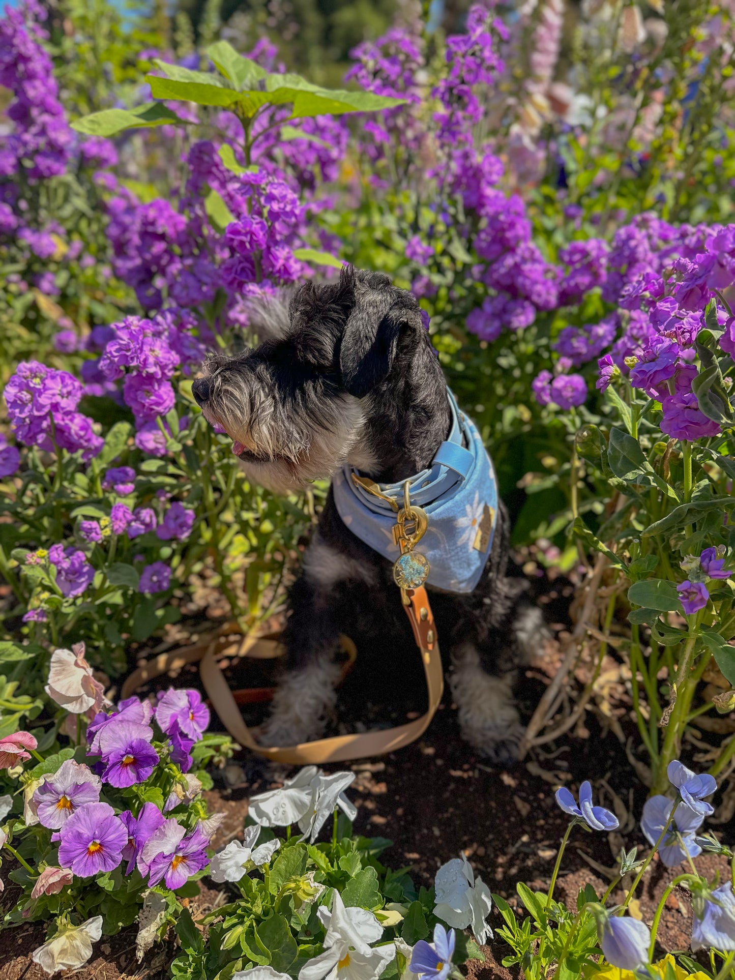 Bark in Bloom Dog Bandana