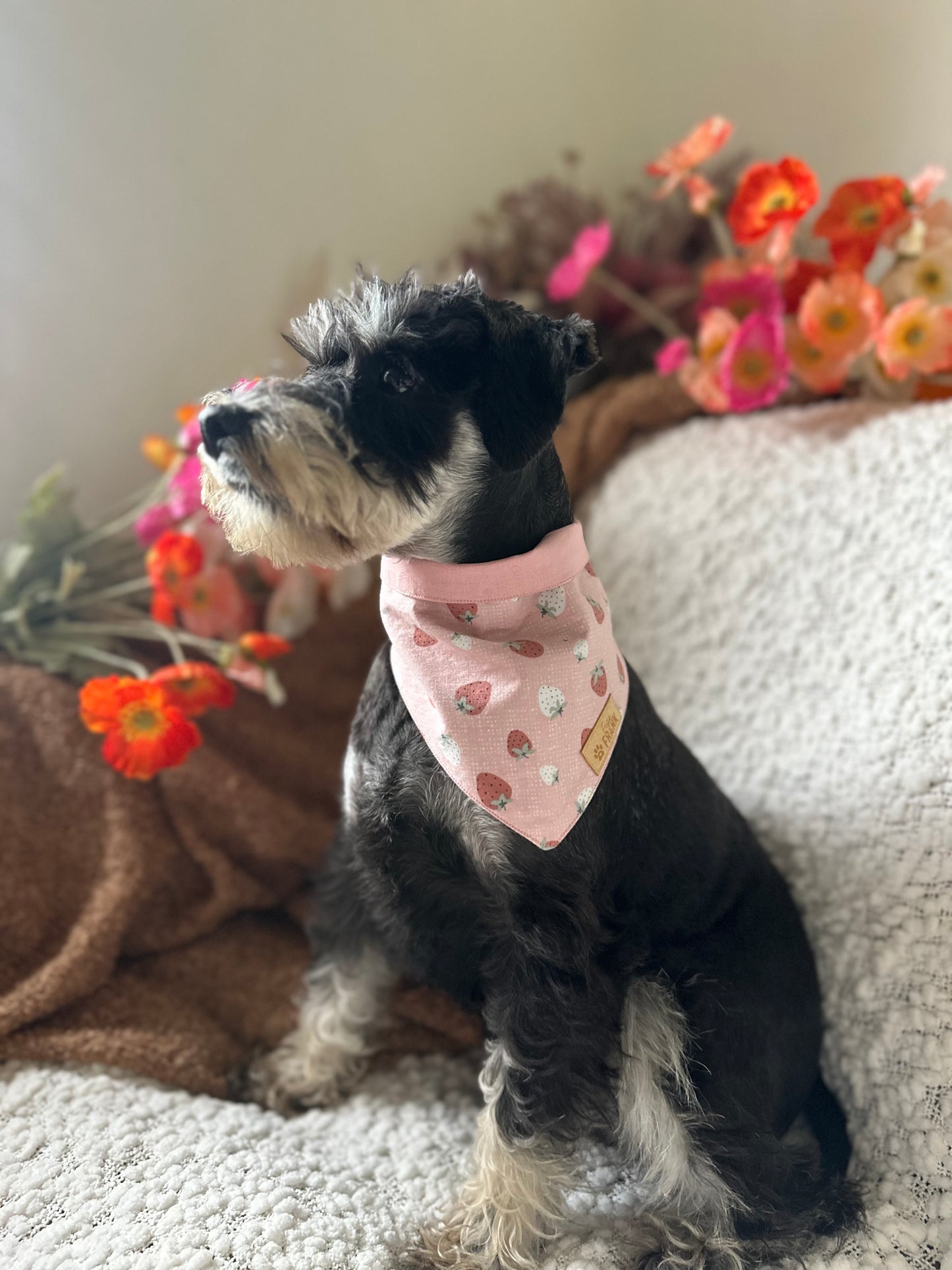 Pawberry Shortcake Dog Bandana