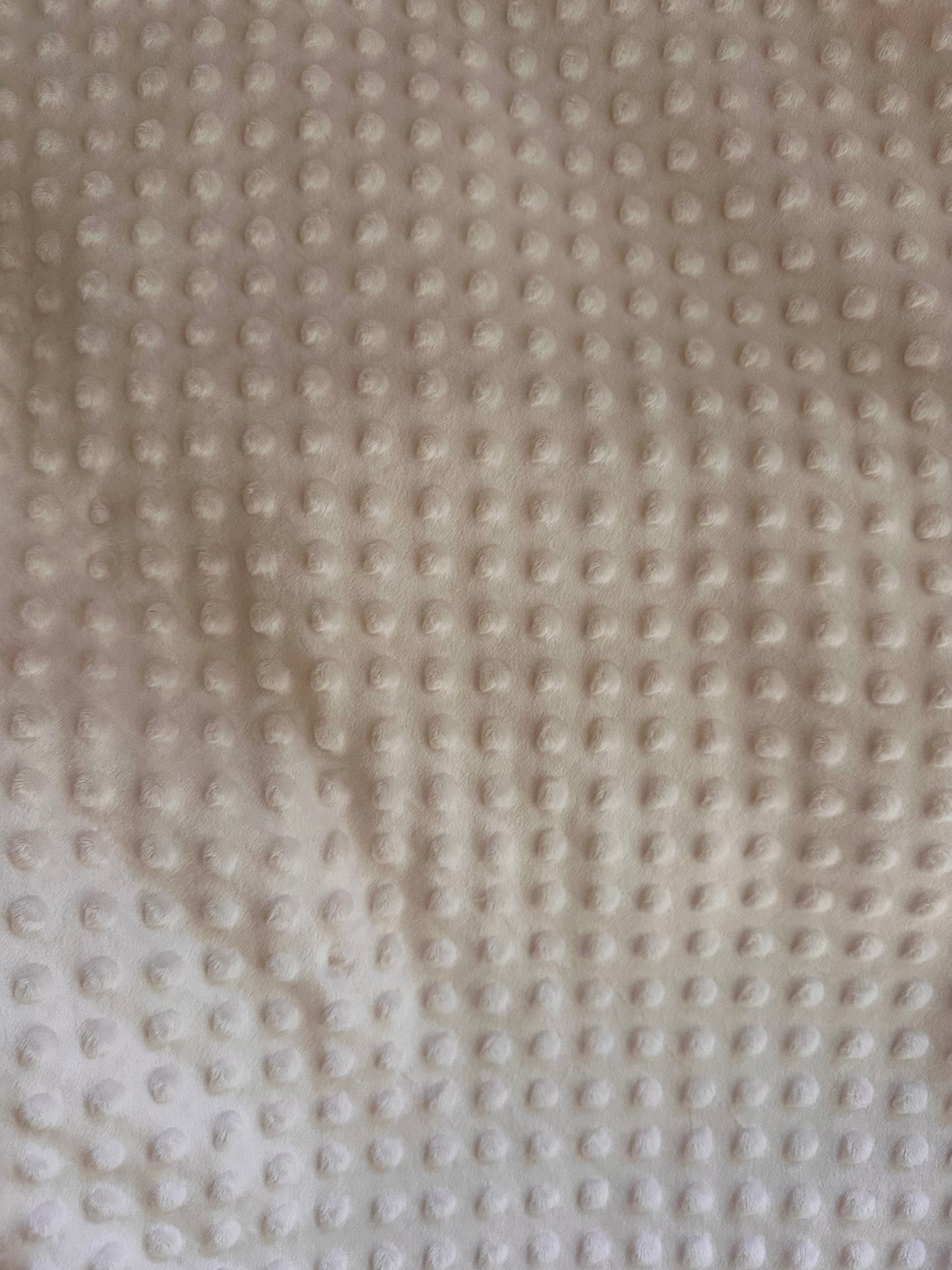 Cream Minky Dot Pet Blanket