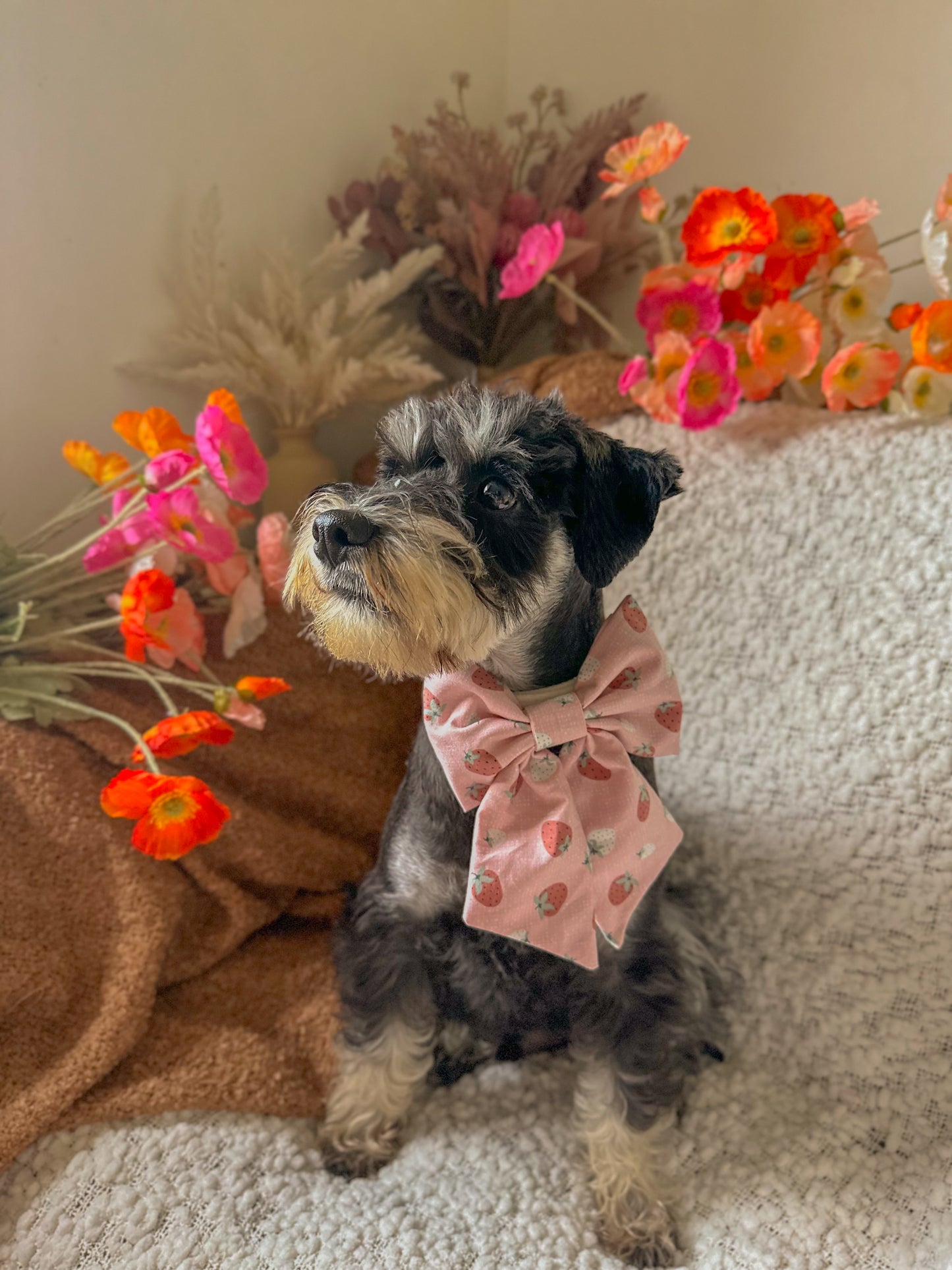 Pawberry Shortcake Dog Bow