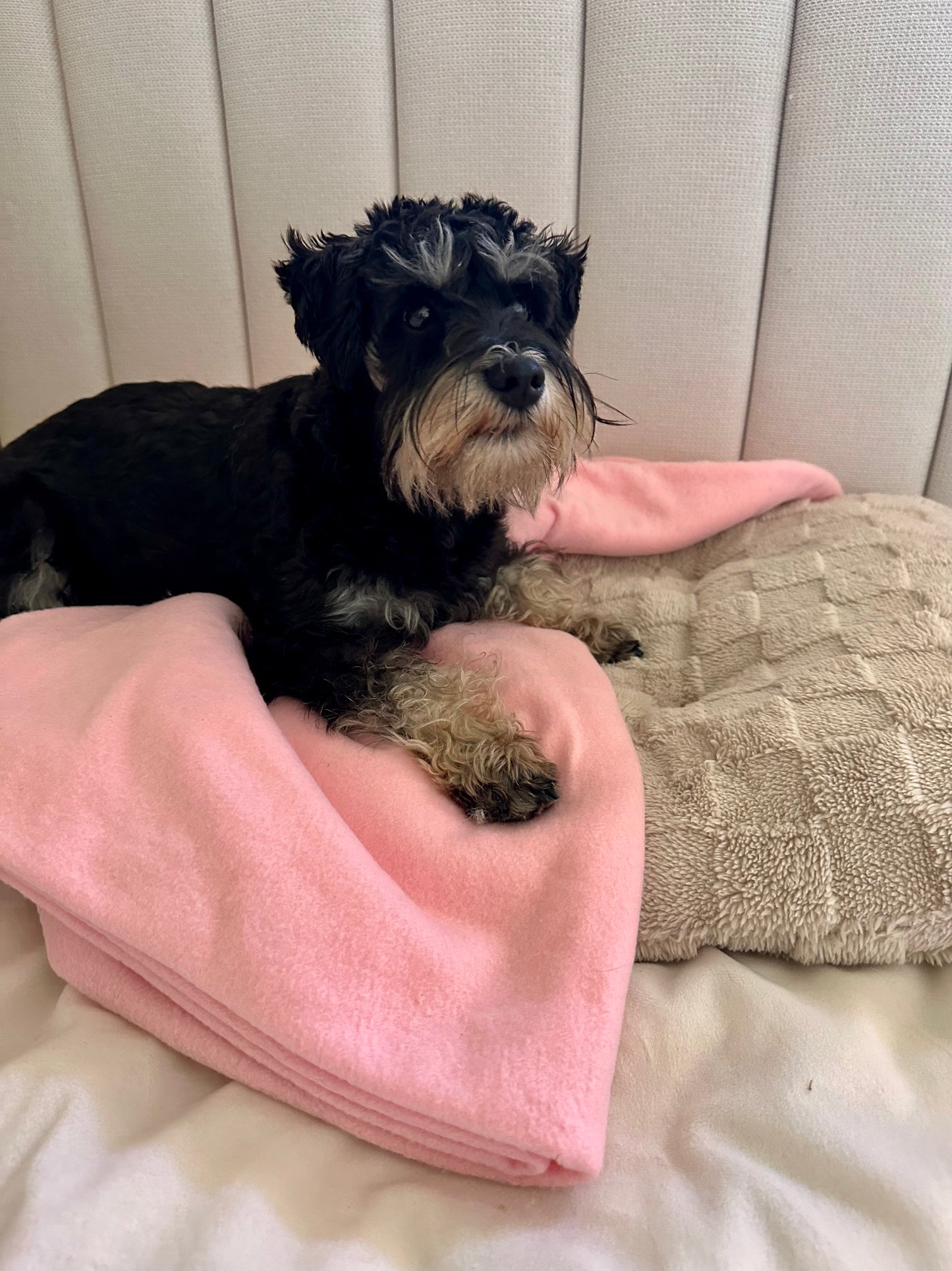 Pink Polar Fleece Pet Blanket