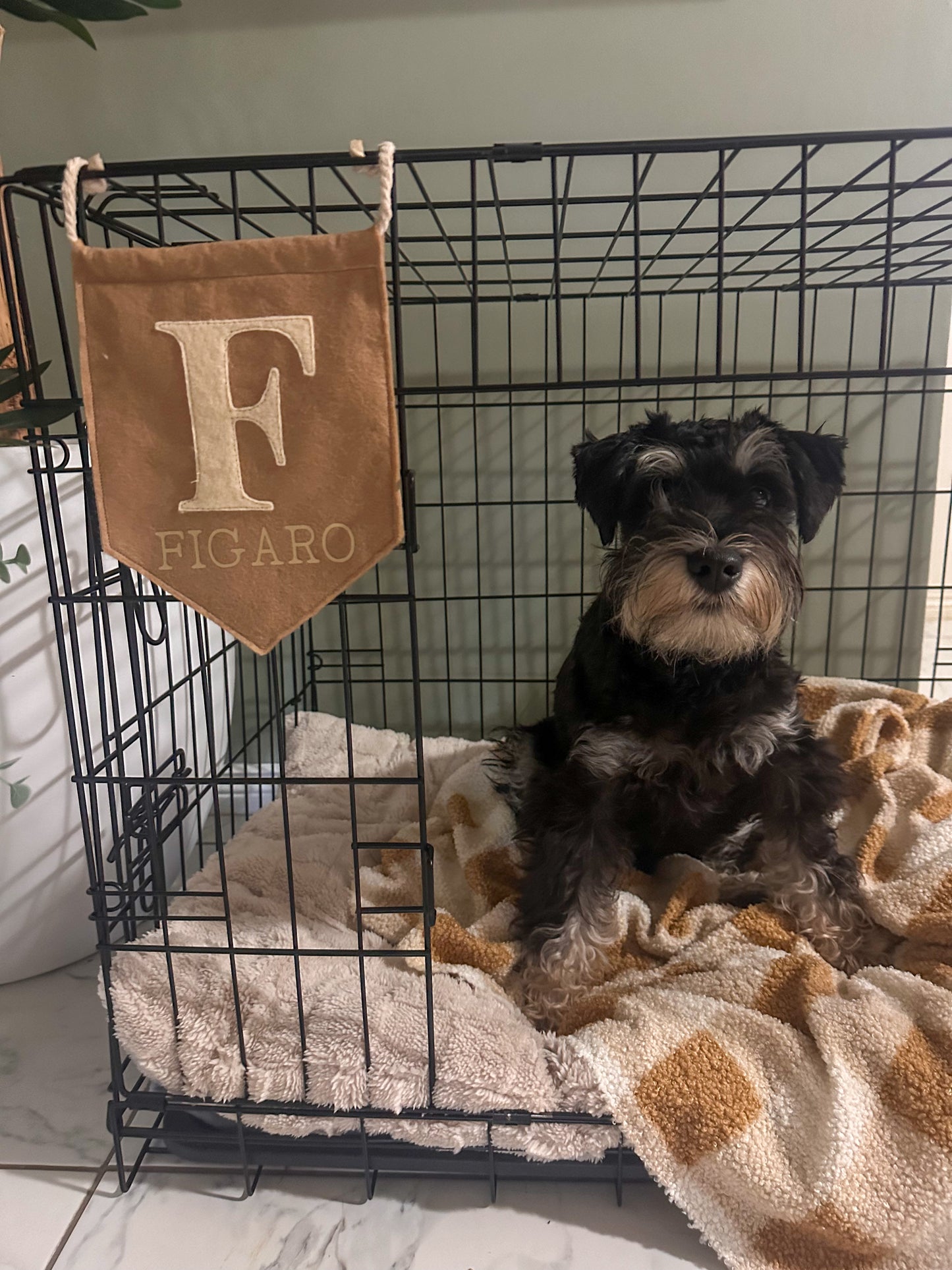 Archer Crate Flag