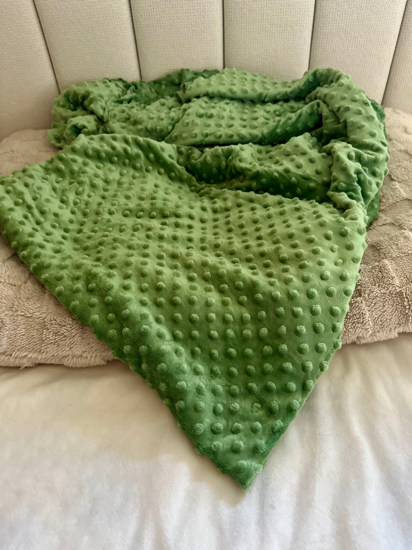 Basil Minky Dot Pet Blanket