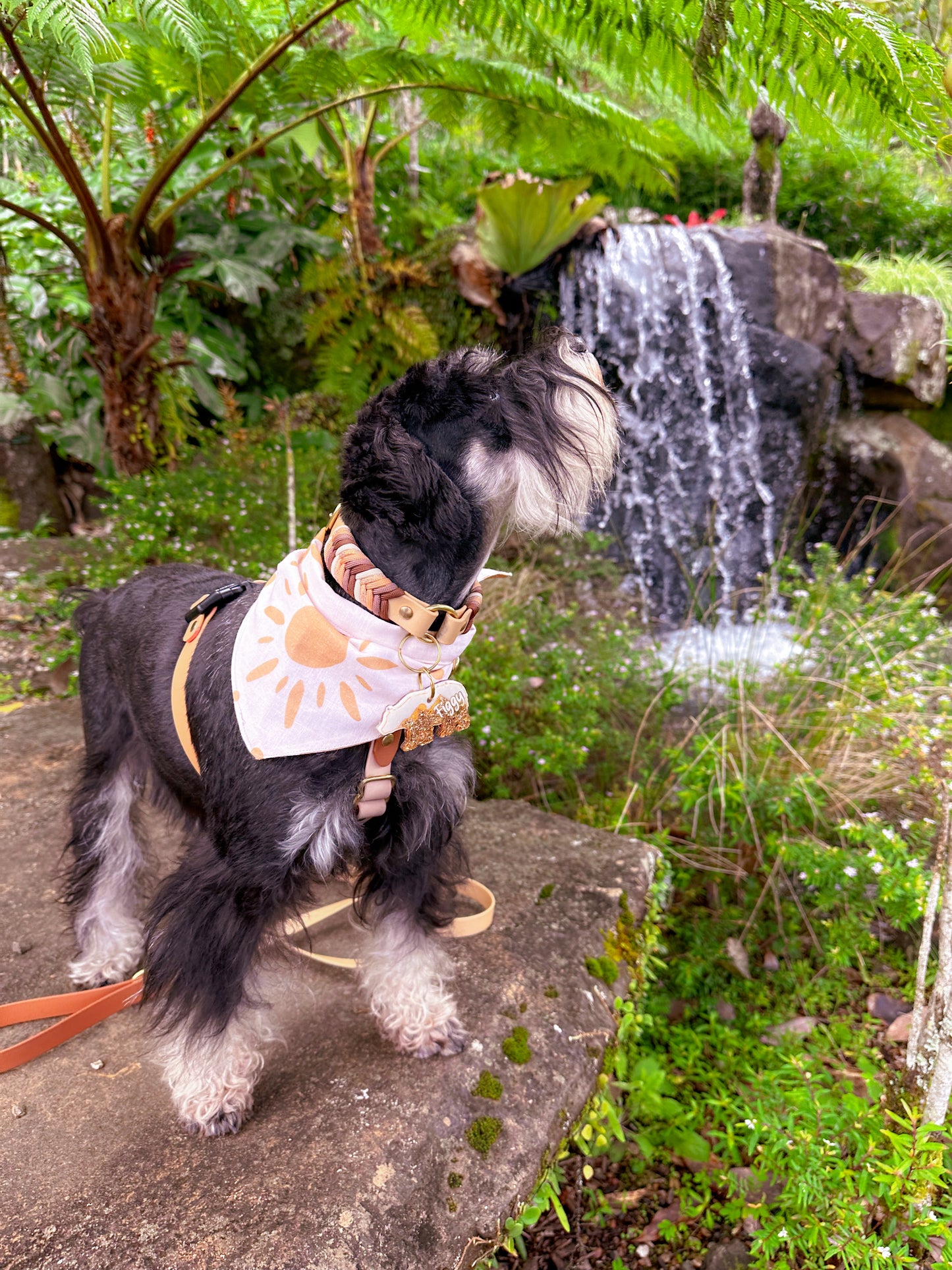 Sunny Dog Bandana