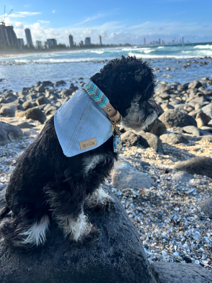 Bay Dog Bandana