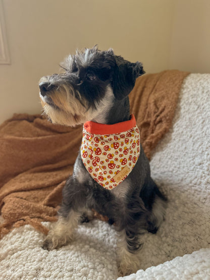 Shroom Paws Dog Bandana