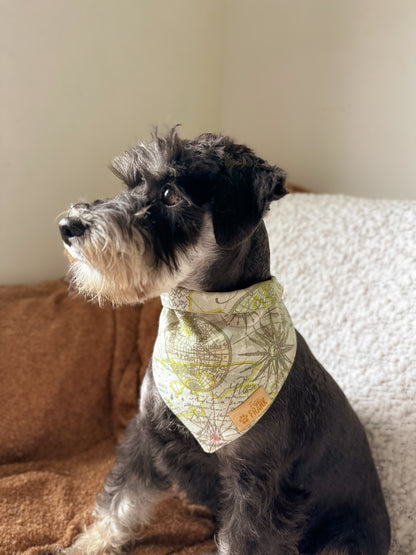 Globe Trotter Dog Bandana