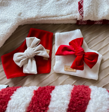 Rudolph Dog Bandana