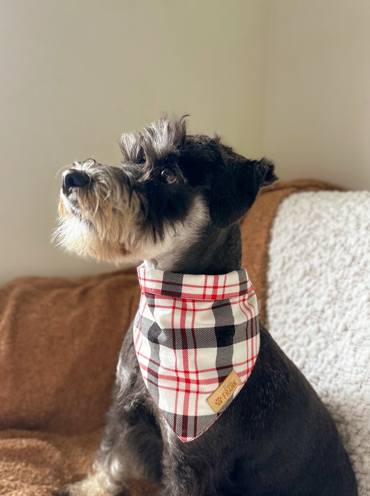 Woody Dog Bandana