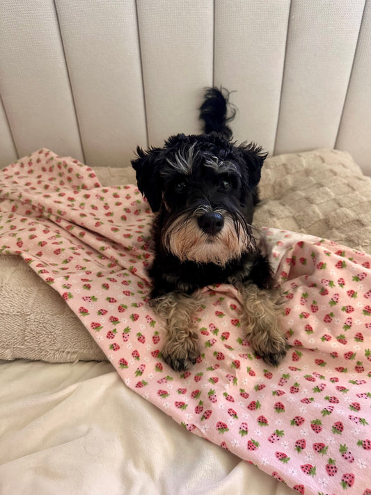 Berry Flannelette Pet Blanket
