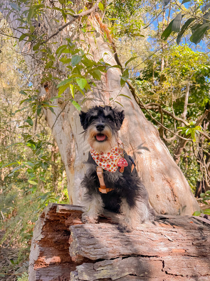 Shroom Paws Dog Bandana