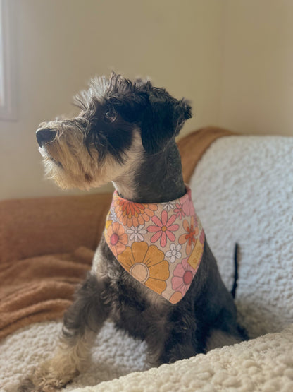 Groovy Paws Dog Bandana