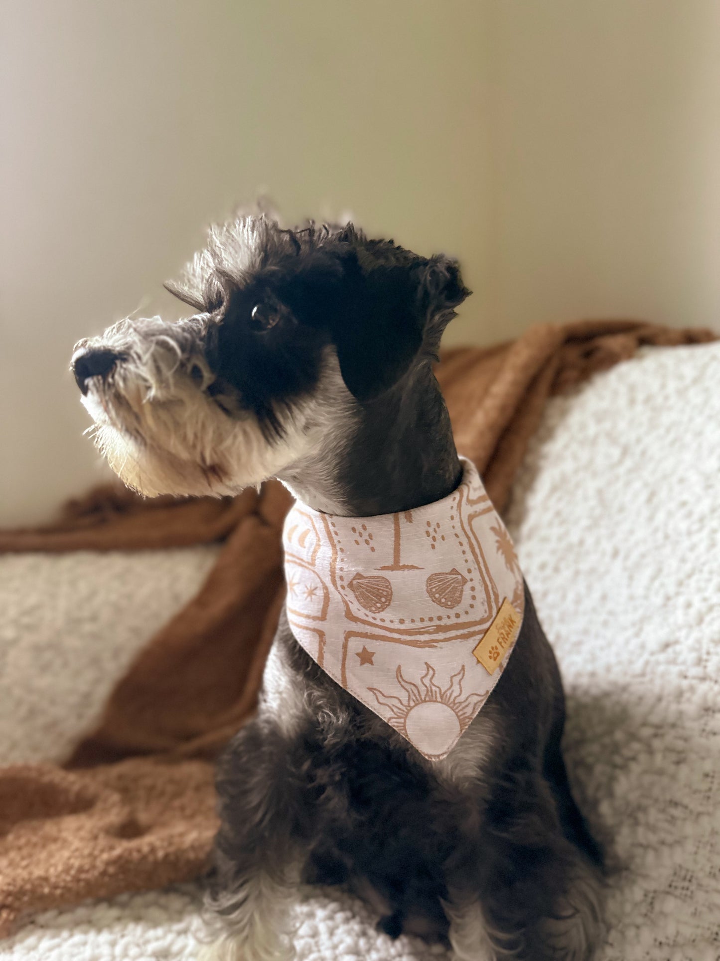 Coastal Paws Dog Bandana