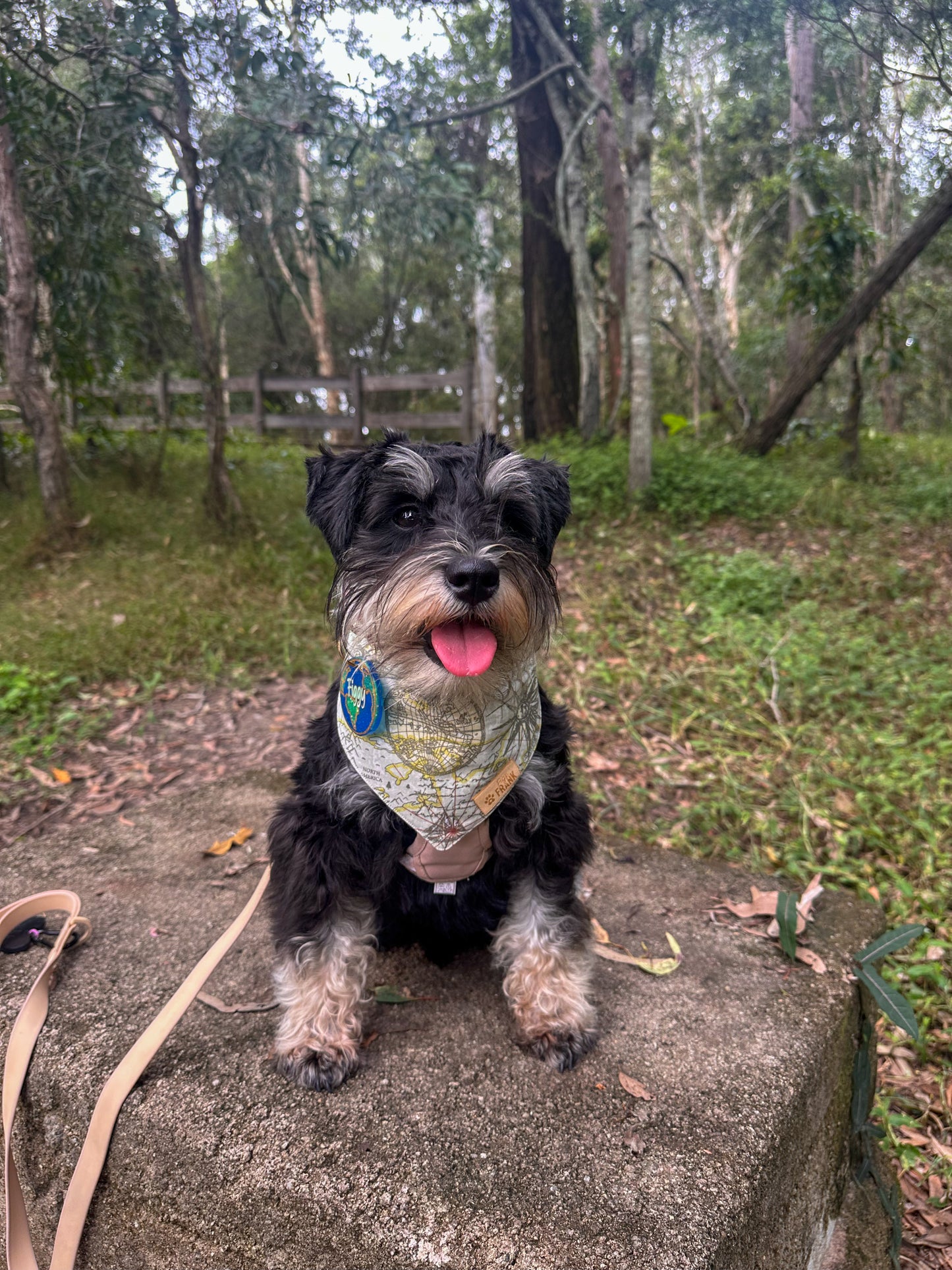 Globe Trotter Dog Bandana