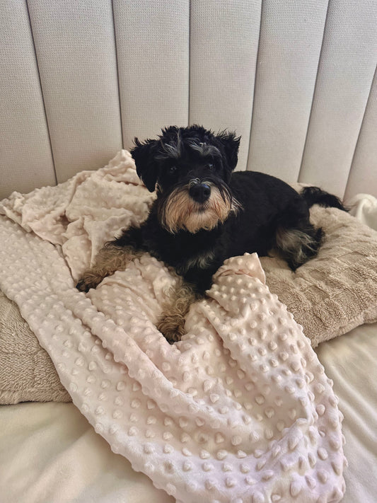 Cream Minky Dot Pet Blanket