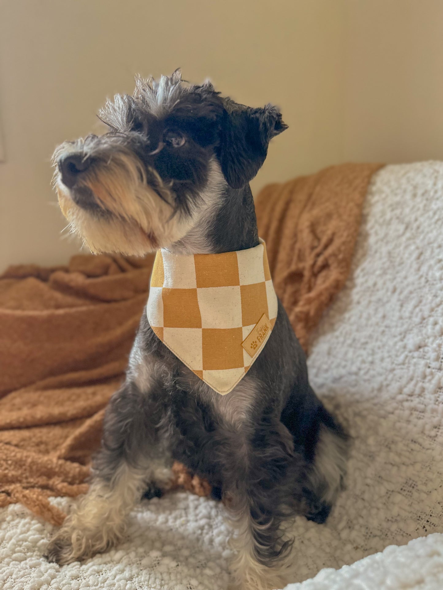 Brandy Dog Bandana