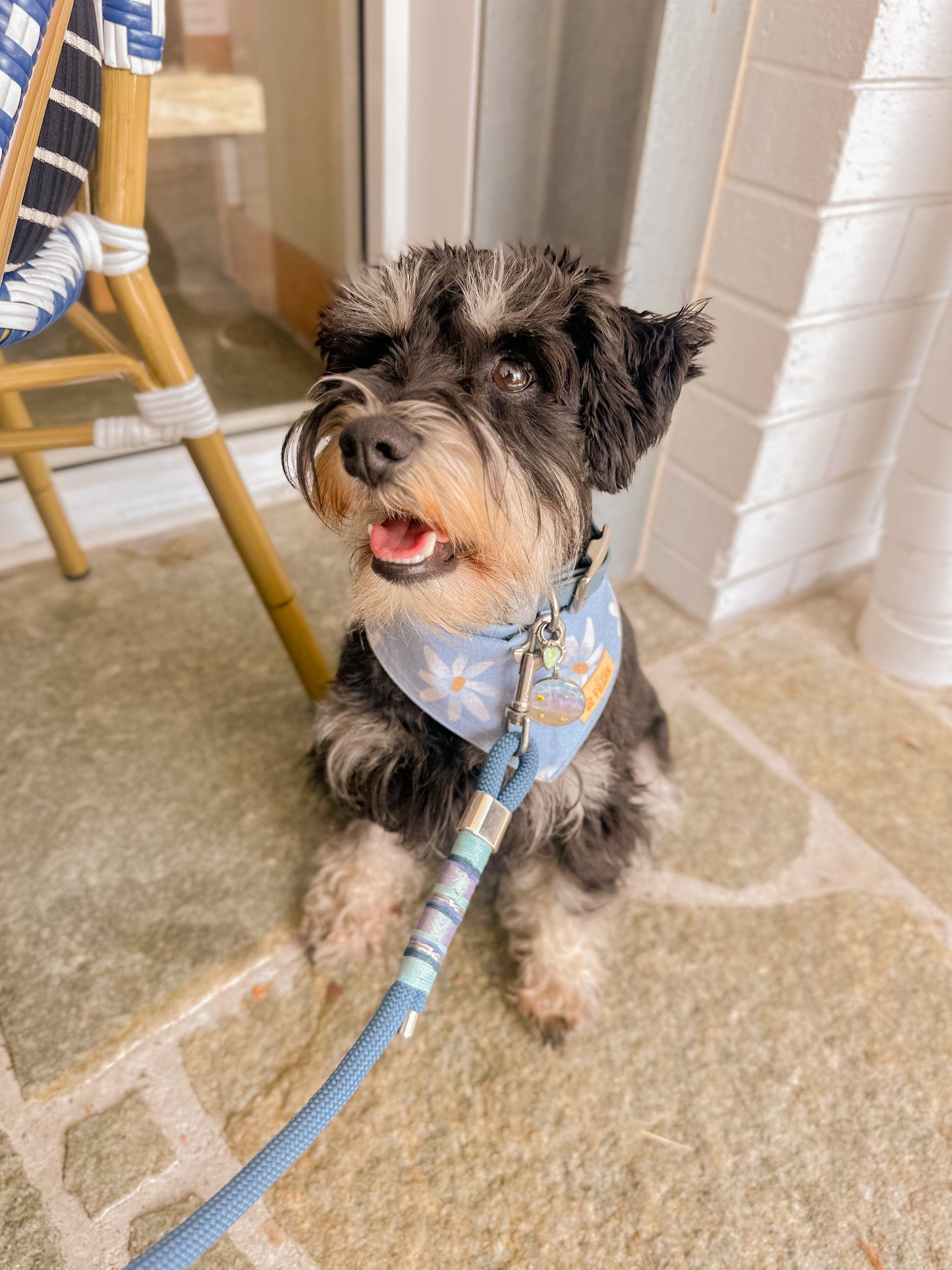 Bark in Bloom Dog Bandana