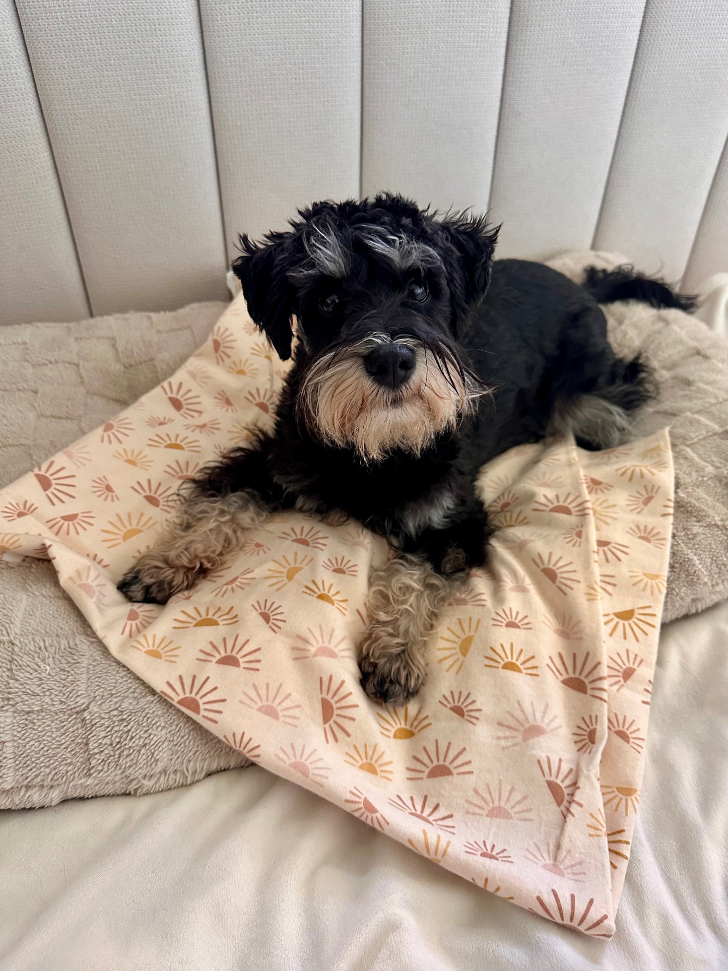 Sunny Flannelette Pet Blanket