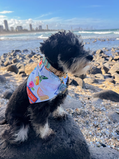 Euro Summer Dog Bandana