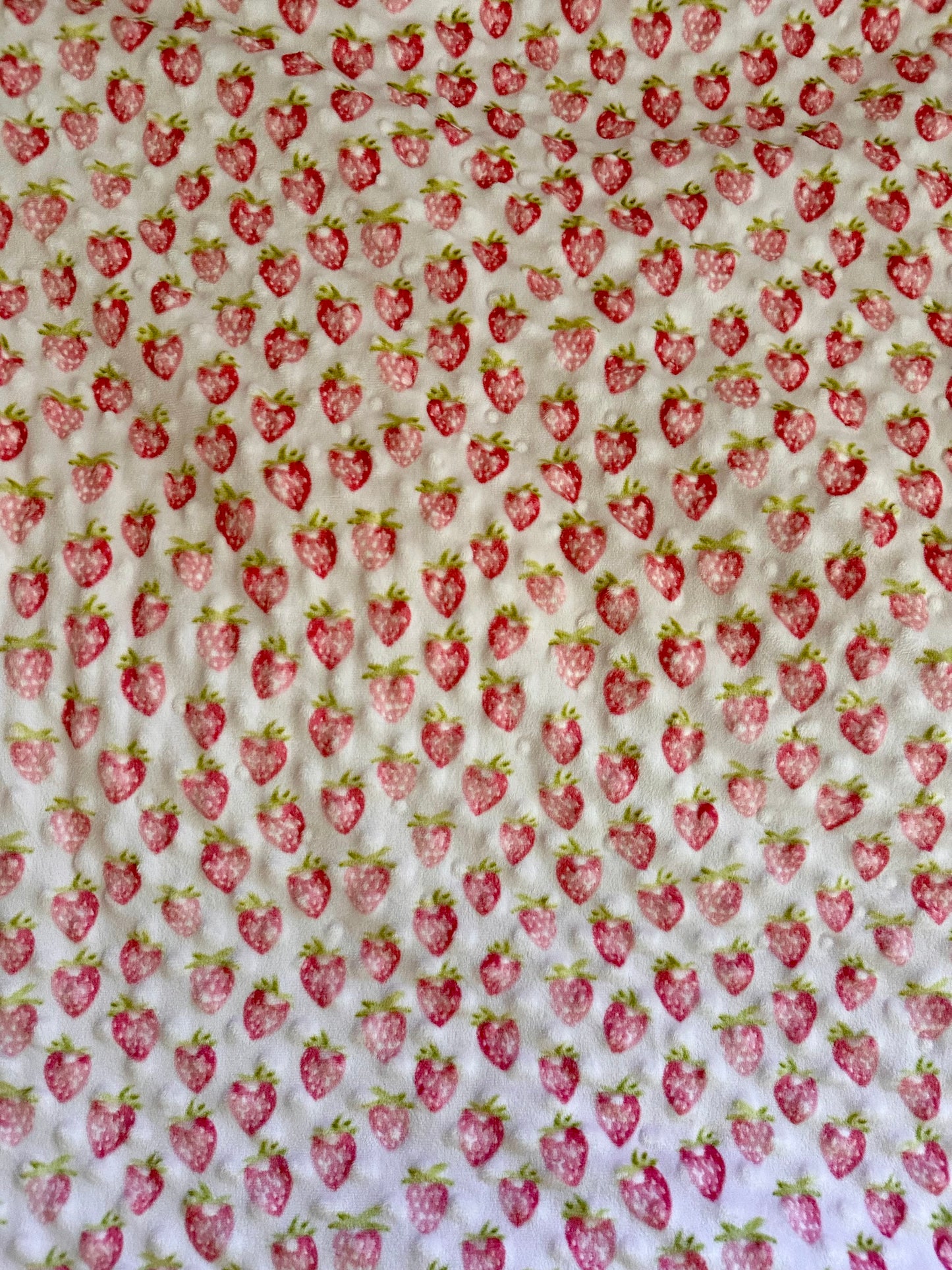 Shortcake Minky Dot Pet Blanket