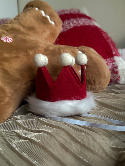 Santa Paws Christmas Crown