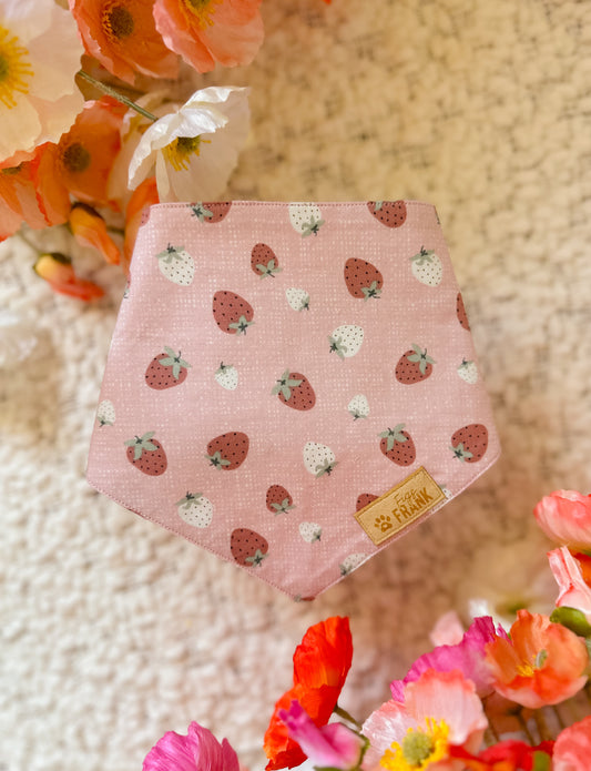 Pawberry Shortcake Dog Bandana