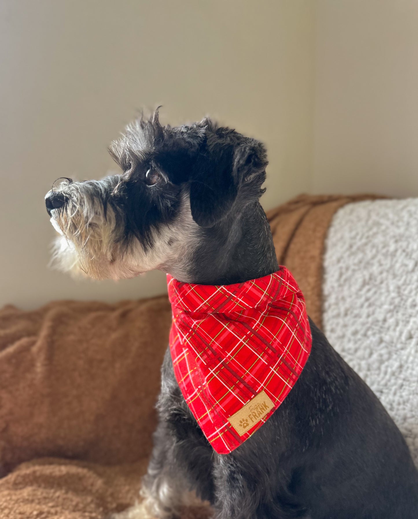 Winston Dog Bandana