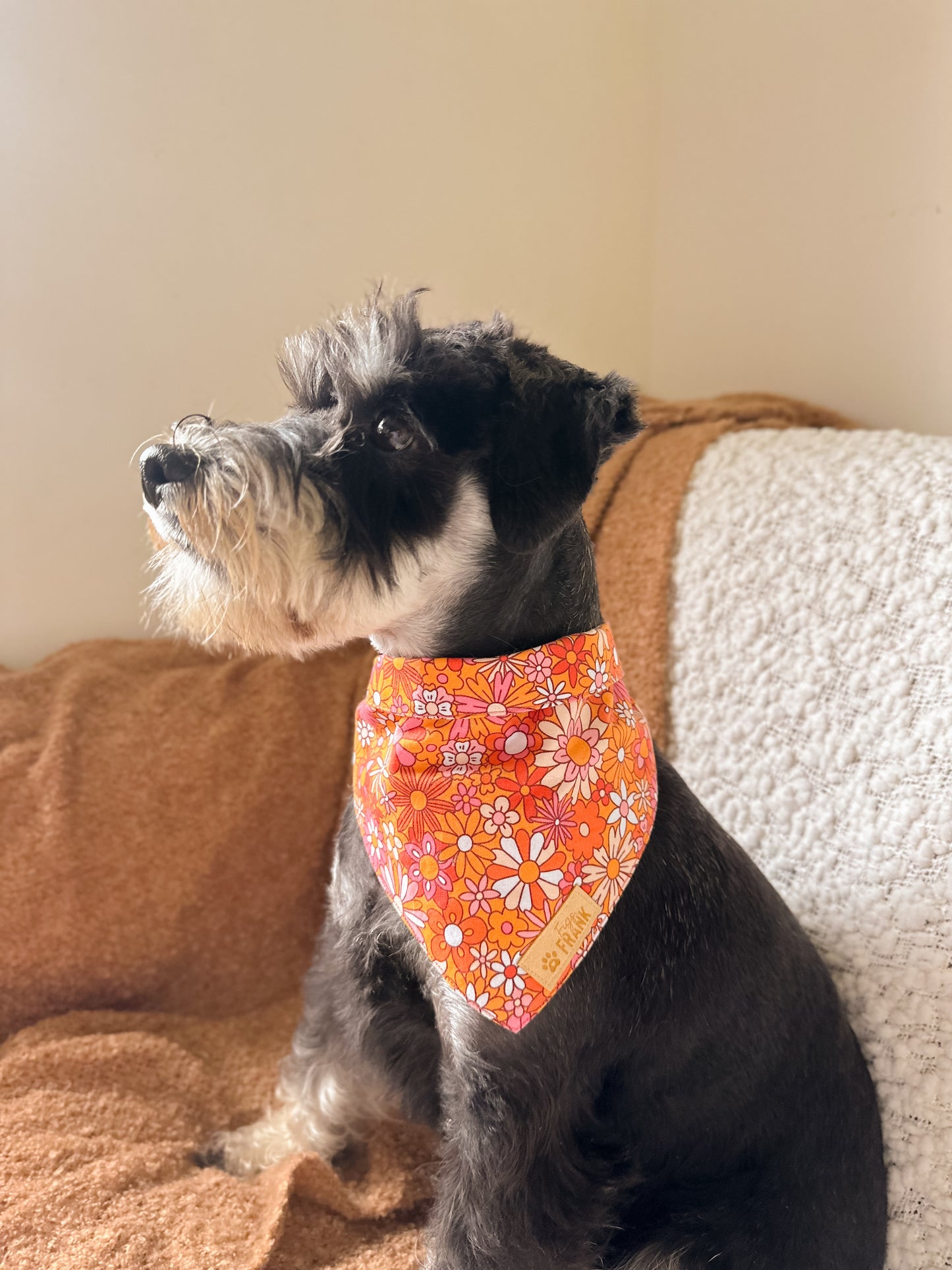 Millie Dog Bandana